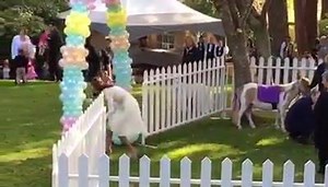 113K views · 6K reactions | We're loving the party scenes with William, Kate, George and Charlotte! Video courtesy of our Royal correspondent Emily Nash. | HELLO! | Facebook