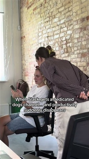 The Slack channel that destroyed productivity 🐶😂