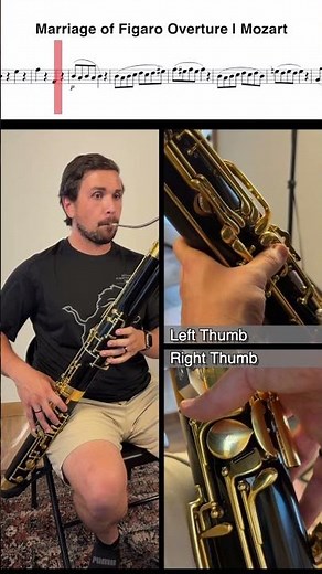 🎉 Happy National Bassoon Day! | Mozart Marriage of Figaro #bassoon #excerpt #shorts #shortsfeed