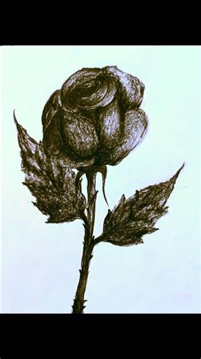 🌹Beautiful Rose Sketch Drawing | Easy Pencil Art Tutorial & Realistic Flower Illustration ✨