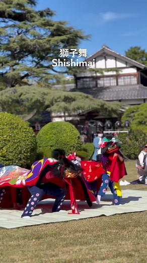 🦁獅子舞Shishimai (Lion Dance)🦁 In Japan, this lion dance is called Shishimai (“Shishi” = lion🦁, “Mai” = dance)! Shishimai is often performed on New Years and at festivals/events like this one!✨ Have you seen lion dances before? ✨Don’t forget to Follow us for the latest info on studying in Japan!😄 #studyinjapan #studyabroad #japan #study #universities #japaneseuniversity #japanesescholarship #schoolynk #schoolynkmedia #shishimai #獅子舞 #japaneseculture