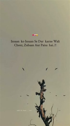 Alisha sheikh on Instagram: "Mention your story @dil_ki_baat___.888"