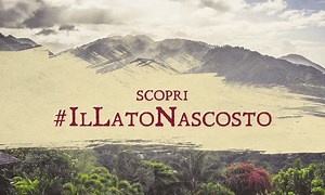 Una terra fertile immersa nel cuore più selvaggio della Giamaica. Anche questo è #IlLatoNascosto di Appleton Estate. | Appleton Estate