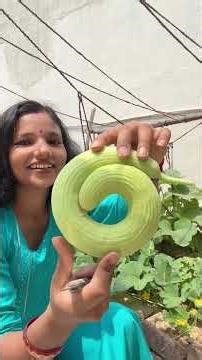 Aaj garden me mila ye alag shape ka vegetable #gardening #terracegardenindia #terracegarden