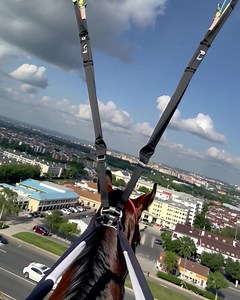 THE STRANGEST INTERVIEW QUESTION I’VE EVER BEEN ASKED. I was applying for a simple office job—nothing fancy, but the pay... | Creative Panda