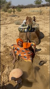 Girl Falls Under While Pouring Water from a Camel – A Shocking Desert Moment While pouring water from the camel, the girl suddenly lost her balance and fell to the ground. This incident shows the challenges and risks of daily desert life while handling heavy water loads. A tense and real-life moment from rural desert culture. Like the video, follow the page, and support by sharing this reel. #DesertLife #Camel #VillageGirl #WaterPouring #DesertChallenges #RuralLife #CamelLoad #VillageScenes #Des