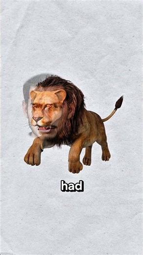 Why Does This Lion Have A Human Face? 🤔