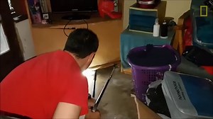Intense video shows an extremely deadly snake being removed from a home