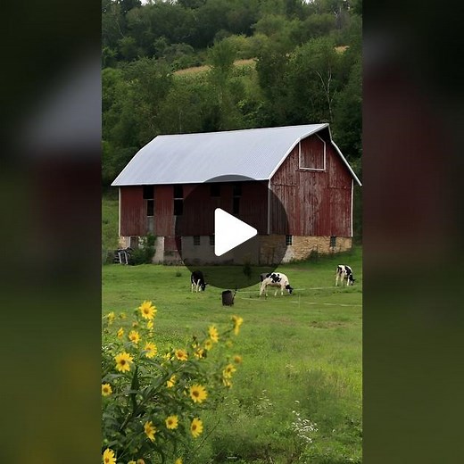 Exploring the Scenic Rural Landscapes of Countryside Farms