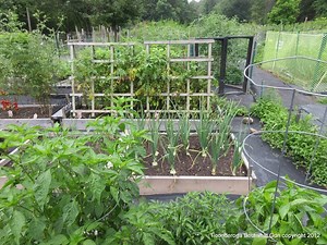 Suburban Community Garden Project 2016!