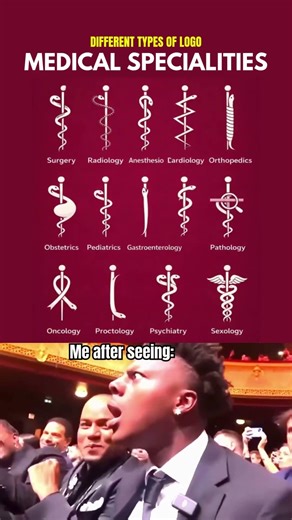 ⚕️ Medical Specialties Explained Using Symbols 🐍😳