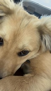 #naughtyrobutt #robbybutterfield | Robby Butterfield