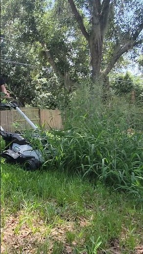 EGO 30" Mower Demolishes Tall Grass! #Tools