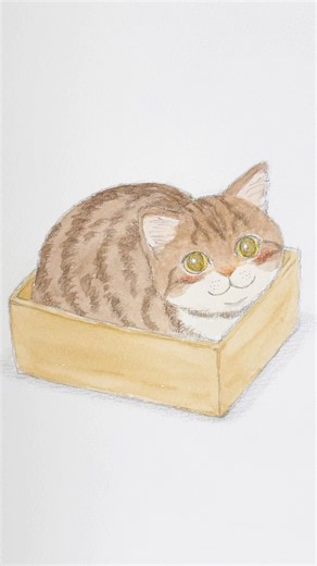 箱入りねこ😺 #猫 #イラスト #cat #drawing
