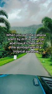 meet the car freshener everyone is switching to ✔️ clean ingredients ✔️ free shipping | FailArmy