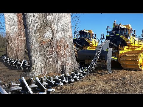 Removing Tree Stumps with Excavator and Bulldozer | Amazing Heavy Equipment Operator Skills