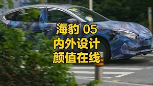 比亚迪海豹05 dmi