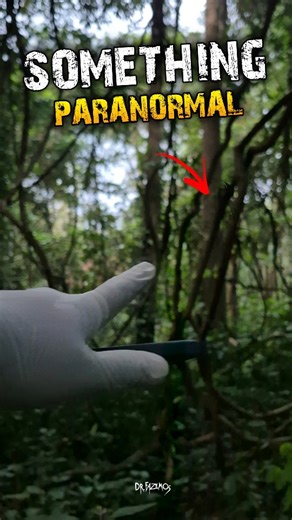 DR FAZEMOS | REAL പ്രേതം on Instagram: "I found some signs of ghost 💀 #reels #edits #malayalam"