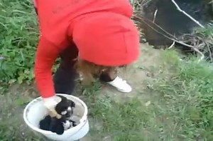 Girl THROWS PUPPIES in river!