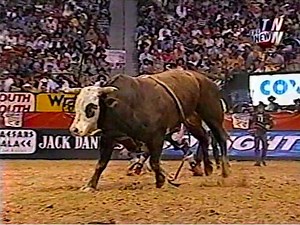 Tony Sharp's #130 Hammer bucks off Claudeny Dos Santos during the short round at the 2002 PBR World Finals in Las Vegas, NV. Bull score: 46.5 points. | All Things Roughstock
