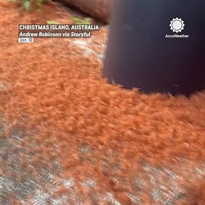 Millions of baby red crabs flood the streets of Australia’s Christmas Island during their annual migration - an encouraging surge after years of quieter seasons. | AccuWeather