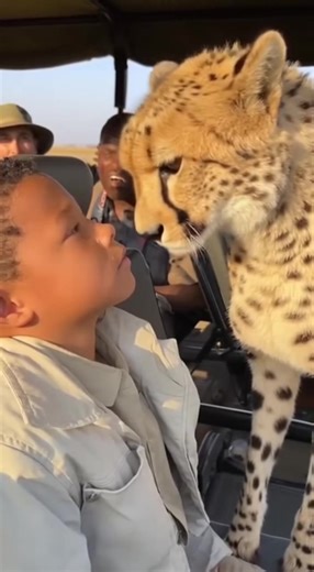 This boy #safari #nationalgeographic #magicalmoments #wildanimals #travelwithme #natgeowild #wildlifephotography #travel | Evans Kimojino