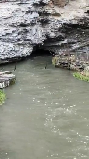135K views · 1.3K reactions | Dogpatch spring. This is the spring they've dug into a holler at Dogpatch. It does not look like this anymore. #Arkansas #dogpatchusa | Wanderlust & Arkansas Dust | Facebook