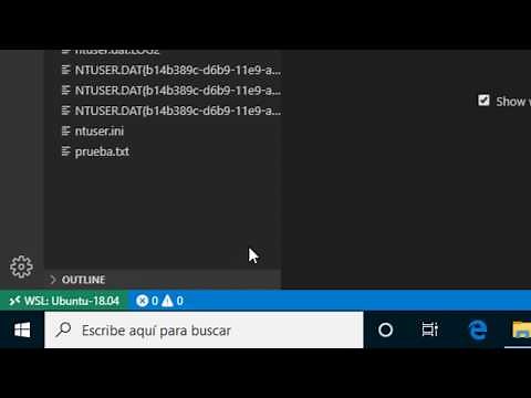 Integrating Visual Studio Code with WSL2 on Windows 10