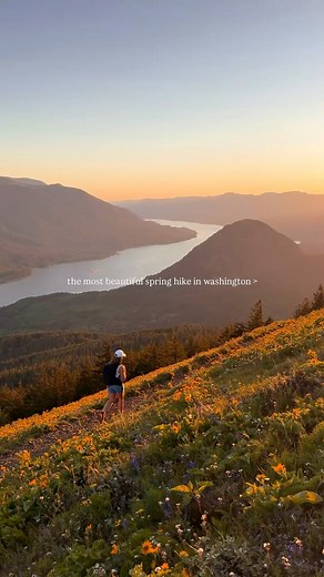 This might be one of the most beautiful spring hikes in Washington 😍 📍Dog Mountain Trail, WA This trail is best known for the dramatic yellow balsamroot and other native wildflowers that blanket Dog Mountain’s high meadow from April to June 🌼🏔️ Permits are required on weekends & Memorial Day during wildflowers season from April 26 - June 15. Please leave no trace and leave it better than you found it 🤍 #dogmountaintrail #washington #spring #springhike #seattle #bucketlist #bucketlistadventu