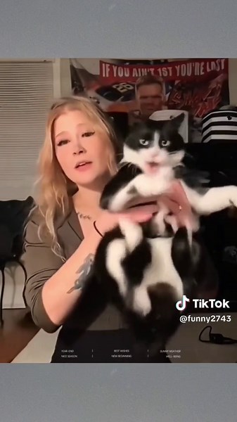 Funny Pet Compilation - Hilarious Animal Moments