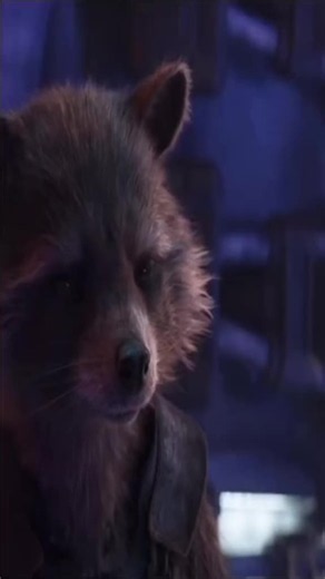 #marvel #thor #rocketraccoon #creatorsearchinsights | thor