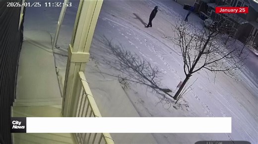 Calgary Police say safety 'top priority' following targeted shootings, extortion attempts