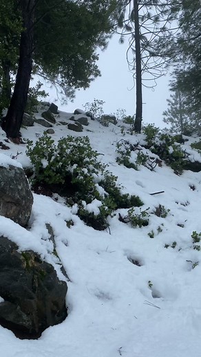 Anyone game for some backcountry powder runs? #powder #backcountry #snowboarding #snowborging