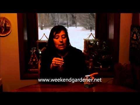 How to Create your Own Sticky Traps for Apple Trees