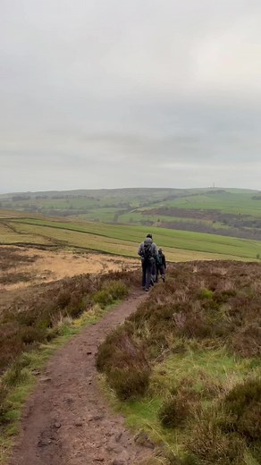 Hiking Adventures in Rugged Countryside Trails