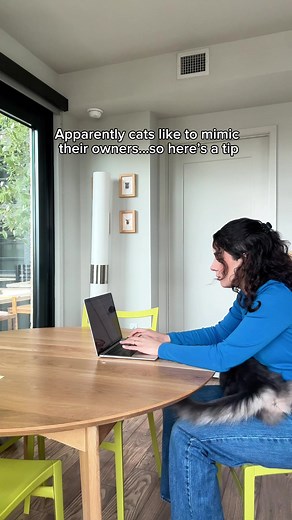 Cat-Friendly Laptops: Introducing the ScratchPadPro