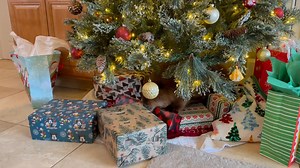 761K views · 16K reactions | Brought our educational beaver, Nibi, inside to get a quick picture of her by the Christmas tree. It didn’t exactly work out as planned. #MerryChristmasEveryone | Newhouse Wildlife Rescue | Facebook