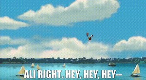 AlI right. Hey, hey, hey--