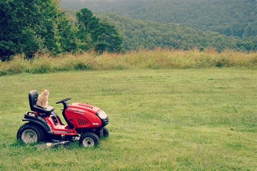 Got a lawn tractor? Maybe not a big deal, but it's not looking good if you need a new one...