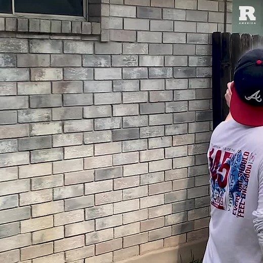 Bug-A-Salt 2.0: Does It Really Work On Wasps?