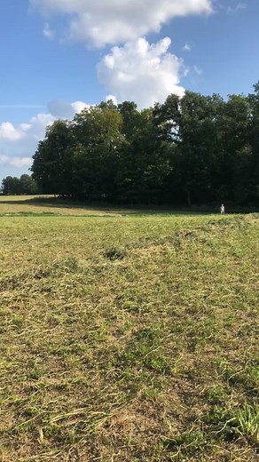 #hay #baling #ohio #farming #farmlife | Homestead | Facebook