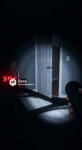 THE DOOR OPENED BY ITSELF… 😳