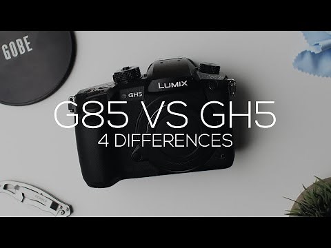 Panasonic G85 VS GH5 || 4 Differences! || Handling, Video Codecs, Dual SD, High Frame Rates
