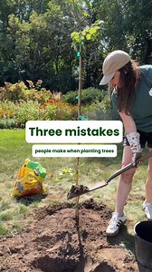 Three words: Plant more trees! 🌲🌿🌳 Make sure they get off to a good start by following these steps: 1. Consider the mature size of the tree. Plant far enough away from buildings and power lines. 2. Research and choose a tree that will thrive with your soil and light conditions. Even better, plant a native tree native to your area! 3. Augment the soil if needed when planting to ensure proper drainage. Plant the root ball level with the soil line to give the roots space to spread out. 4. Mulch 