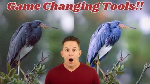 6 Critical DxO Photolab 9 Editing Tools!!