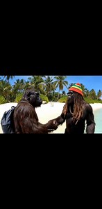 Kadavu !! | Waxx Fiji