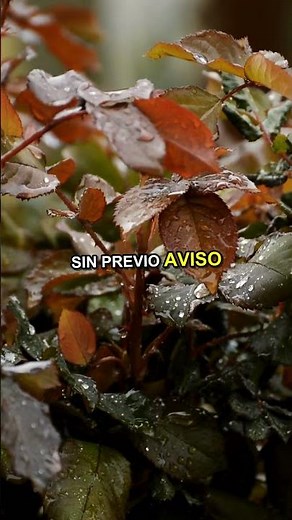 ¿Qué pasaría si el agua dejara de ser potable? Un desastre global.