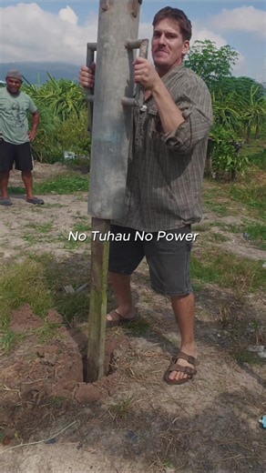 Planting Dragon Fruit Cuttings: A Step-by-Step Guide