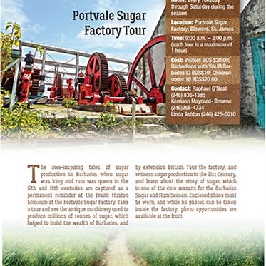 Portvale Sugar Factory Tour - Reveal the Tales of Barbados Sugar