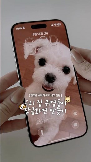 우리집 귀염둥이 잠금화면 만드는 법 2가지🐶🐱